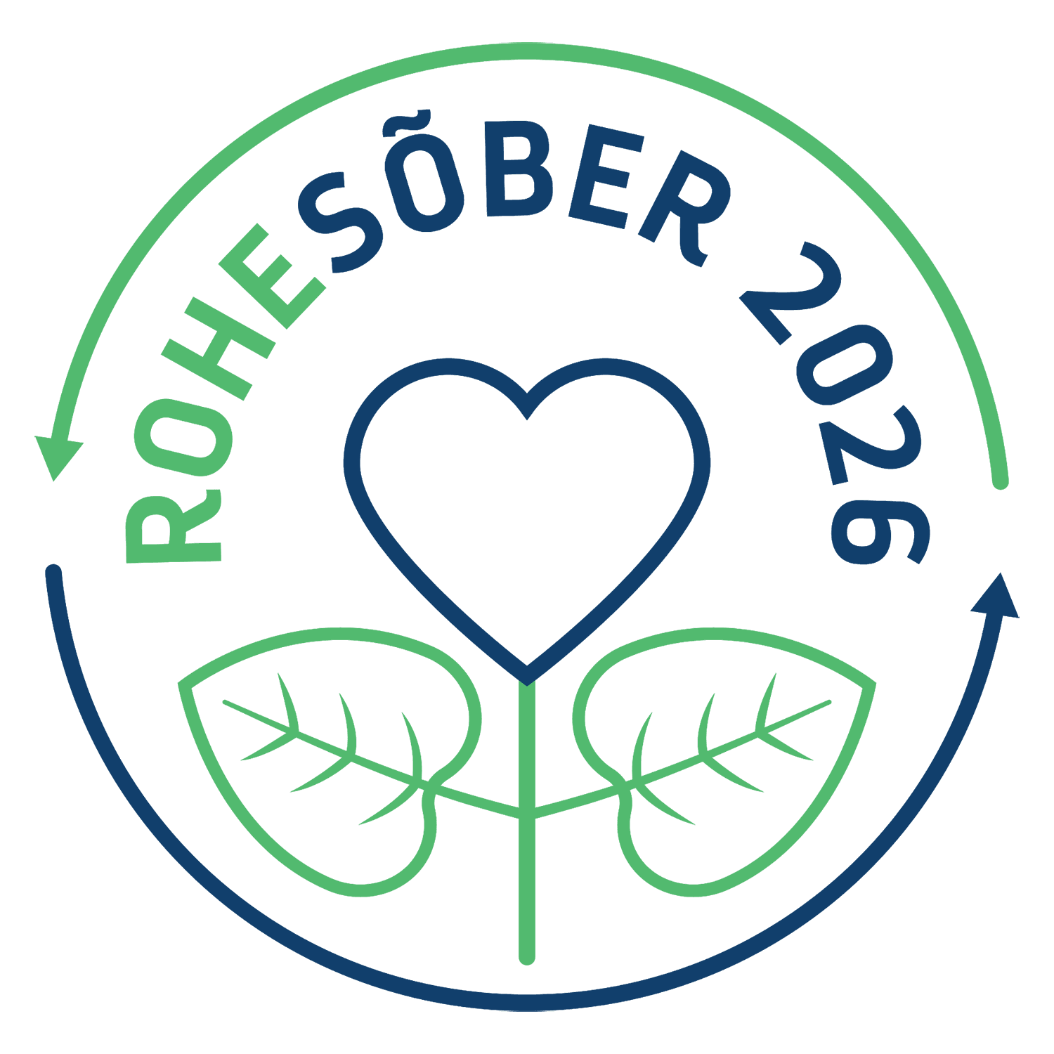 rohesober_margis_2026-1-1